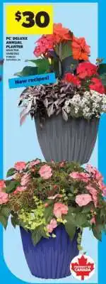 Real Canadian Superstore PC Deluxe Annual Planter offer