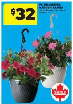 Real Canadian Superstore PC Dipladenia Hanging Basket offer