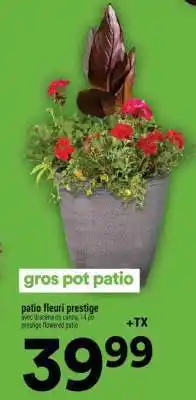 Super C gros pot patio offer