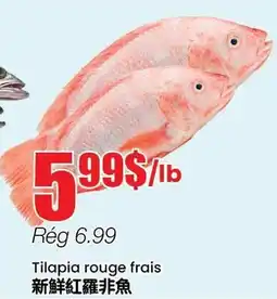 Btrust Supermarket Tilapia rouge frais offer