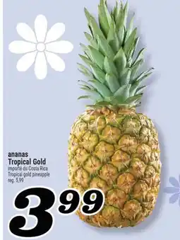 Marché Richelieu ananas TropicalGold | Costa Tropical gold pineapple offer