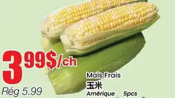 Btrust Supermarket Maïs Frais offer