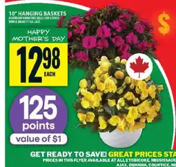 Food Basics 10 Hanging Baskets offer