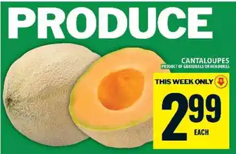Food Basics Cantaloupes offer