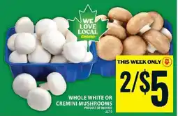 Food Basics WHOLE WHITE OR CREMINI MUSHROOMS offer