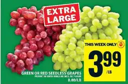 Food Basics GREEN or RED SEEDLESS GRAPES offer