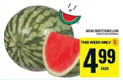 Food Basics Mini Watermelon offer