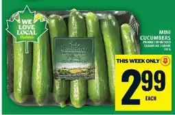 Food Basics MINI CUCUMBERS offer