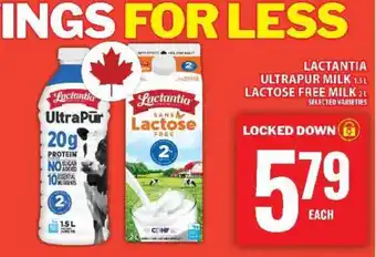Food Basics Lactantia Milk offer