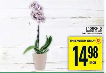 Food Basics 5 Orchid offer