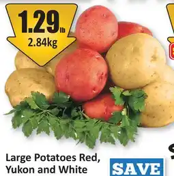 Starsky Large Potatoes Red, Yukon and White offer