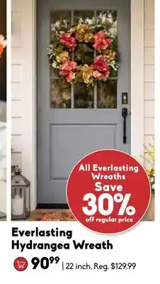 Sheridan Nurseries Everlasting Hydrangea Wreath offer