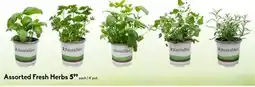 Sheridan Nurseries Assorted Fresh Herbs offer