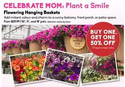 Sheridan Nurseries Add instant colour and charm to a sunny balcony, front porch, or patio space offer