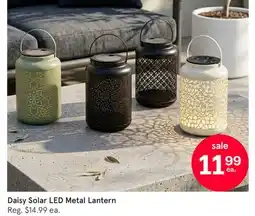 Kitchen Stuff Plus Daisy Solar LED Metal Lantern offer