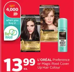 Rexall L' ORÉAL Preference or Magic Root Cover Up Hair Colour offer