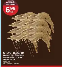 Kim Phat SHRIMP 20/30 offer