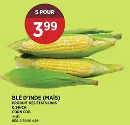 Kim Phat CORN COB offer