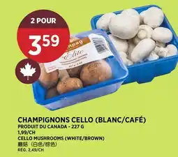 Kim Phat CELLO MUSHROOMS (WHITE/BROWN) offer