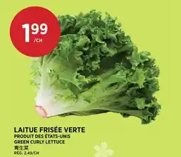 Kim Phat GREEN CURLY LETTUCE offer