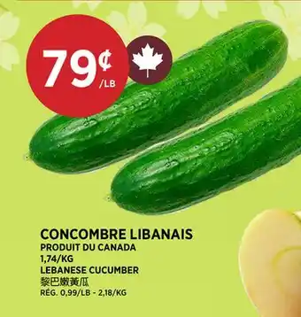 Kim Phat LEBANESE CUCUMBER offer
