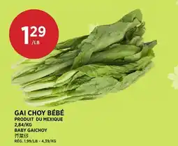 Kim Phat BABY GAICHOY offer