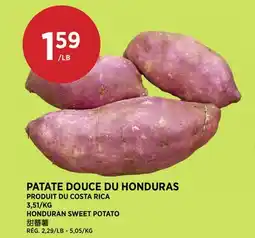 Kim Phat HONDURAN SWEET POTATO offer