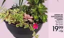 IGA SUCCULENT GARDEN offer