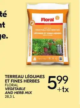 IGA FLORAL VEGETABLE AND HERB MIX offer