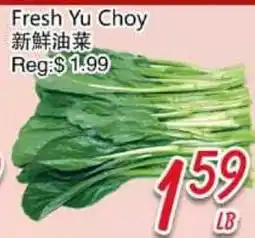 Foody Mart Fresh Yu Choy offer