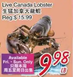 Foody Mart Live Canada Lobster offer