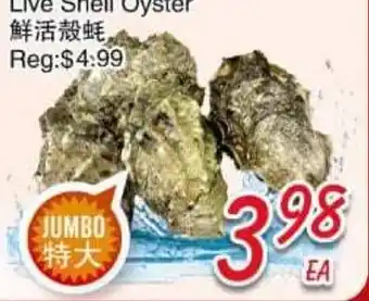 Foody Mart Live Shell Oyster offer
