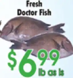 Danforth Food Market Fresh Doctor Fish offer