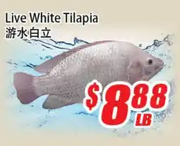 WinCo Food Mart Live White Tilapia offer