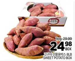 H-Mart SWEET POTATO BOX offer
