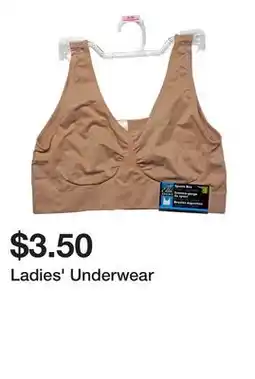 Dollarama Ladies' Underwear offer