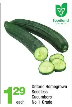 Highland Farms Ontario Homegrown Seedless Cucumbers offer