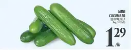 Al Premium Food Mart MINI CUCUMBER offer
