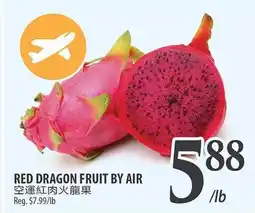 Al Premium Food Mart RED DRAGON FRUIT BY AIR offer