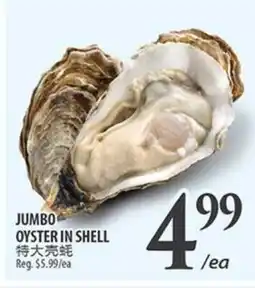 Al Premium Food Mart JUMBO OYSTER IN SHELL offer