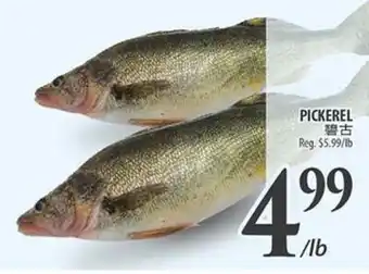 Al Premium Food Mart PICKEREL offer