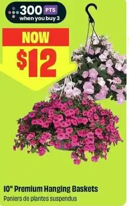 FreshCo Premium Hanging Baskets offer
