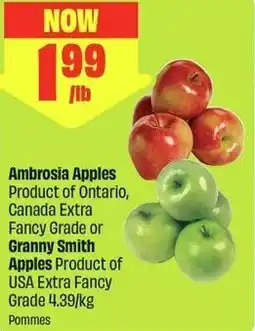 FreshCo Ambrosia Apples offer