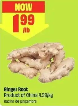 FreshCo Ginger Root offer