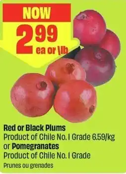 FreshCo Red or Black Plums offer