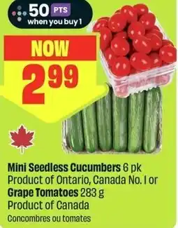 FreshCo Mini Seedless Cucumbers offer