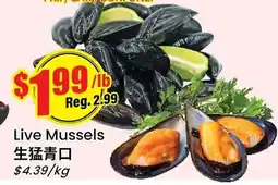 Btrust Supermarket Live Mussels offer