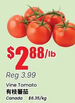 Btrust Supermarket Vine Tomato offer