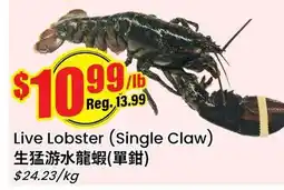 Btrust Supermarket Live Lobster (Single Claw) offer