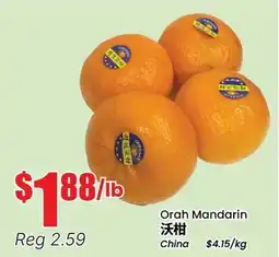 Btrust Supermarket Orah Mandarin offer